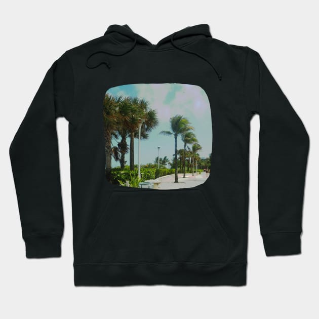 Palm trees photo Miami Florida blue sky palmtree landscape USA nature lovers Hoodie by BoogieCreates